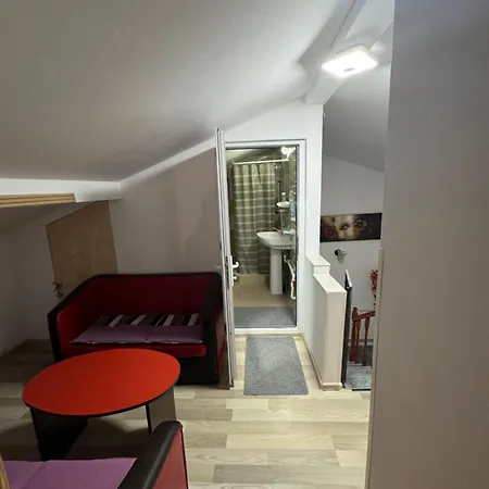 Pensionat Casa Stefan 3*