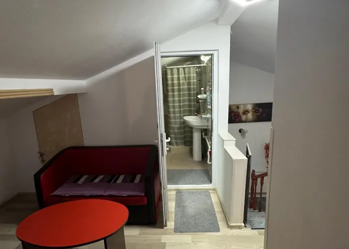 Guest house Casa Stefan 3*